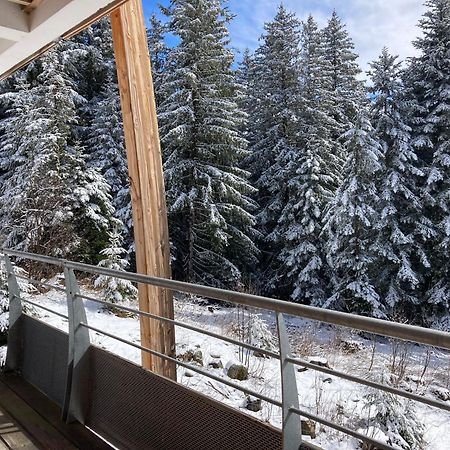 Studio Chamrousse 1700 Pour 4 Personnes - Au Calme - Avec Wifi Exterior photo