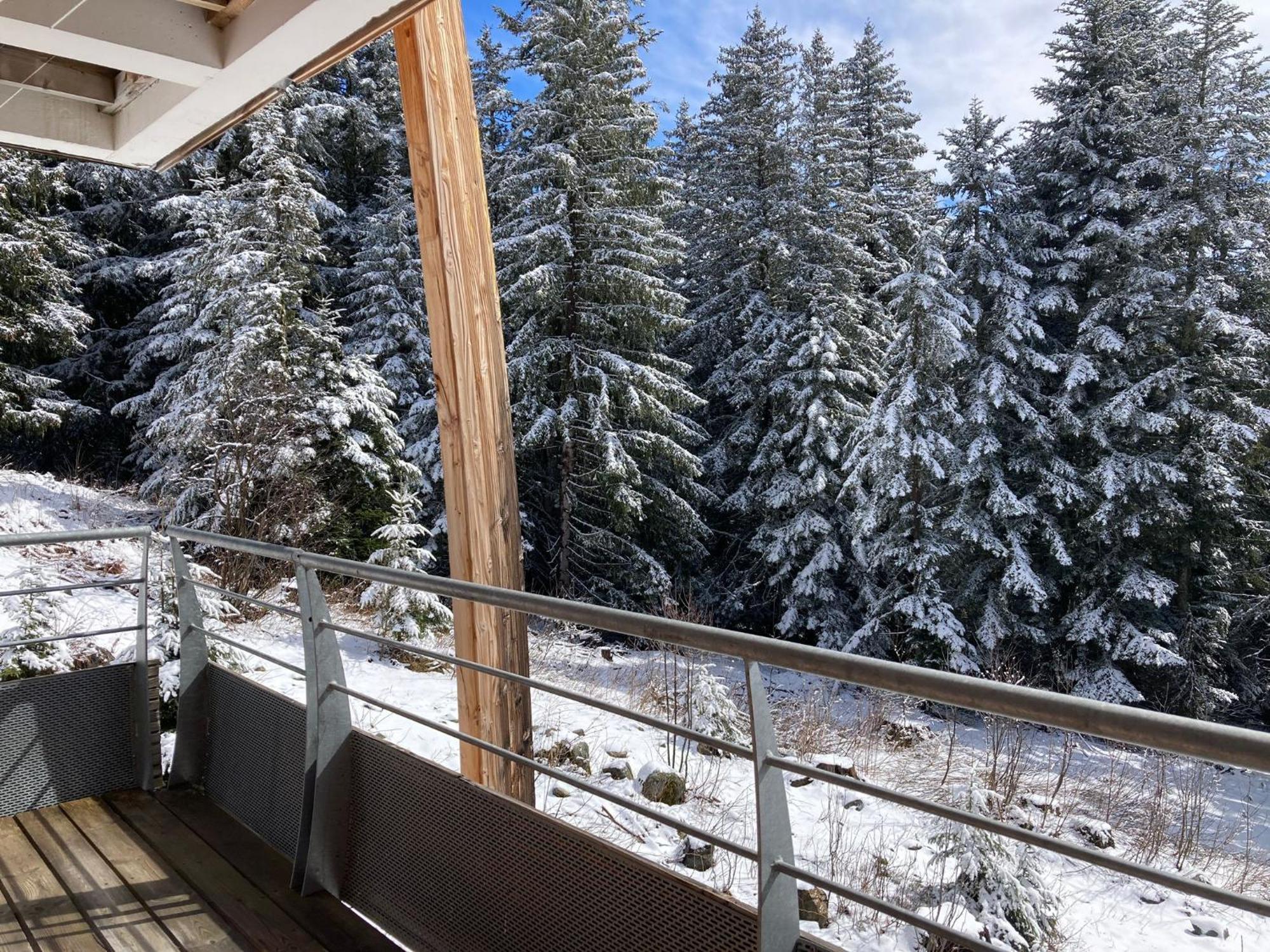 Studio Chamrousse 1700 Pour 4 Personnes - Au Calme - Avec Wifi Exterior photo